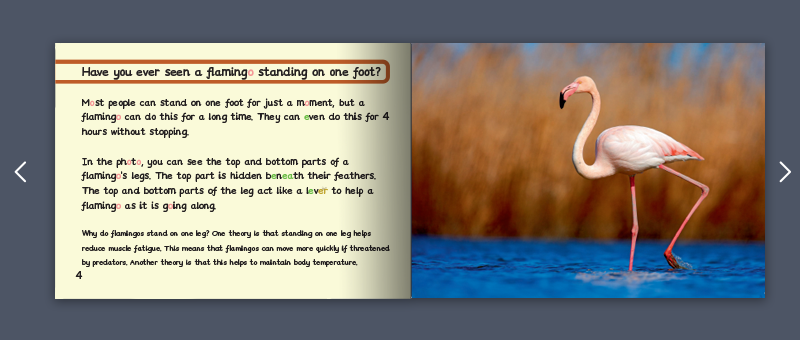 Stage 8 fiction example - Monster phonics